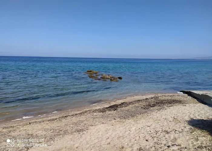 Lavender And Sea